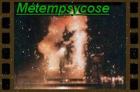 Mtempsycose